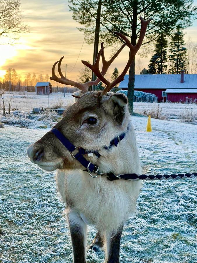 Villa Beautiful Rural Experience With Reindeer Tervola Exterior foto